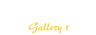Still Life Gallery 1